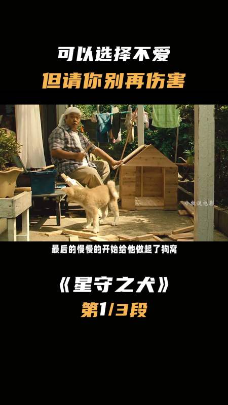 《星守之犬》老人带着一只狗,走边千山万水,直到他去世,小狗依旧守护