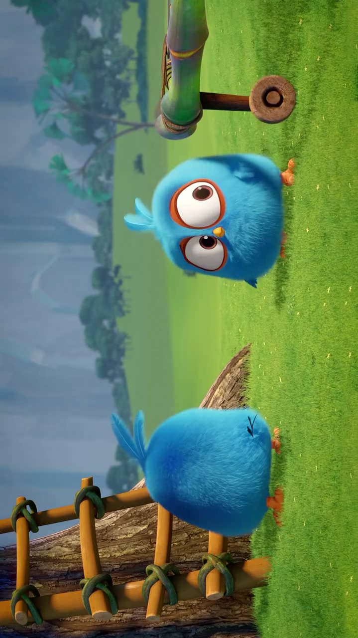 愤怒的小鸡之蓝弟弟