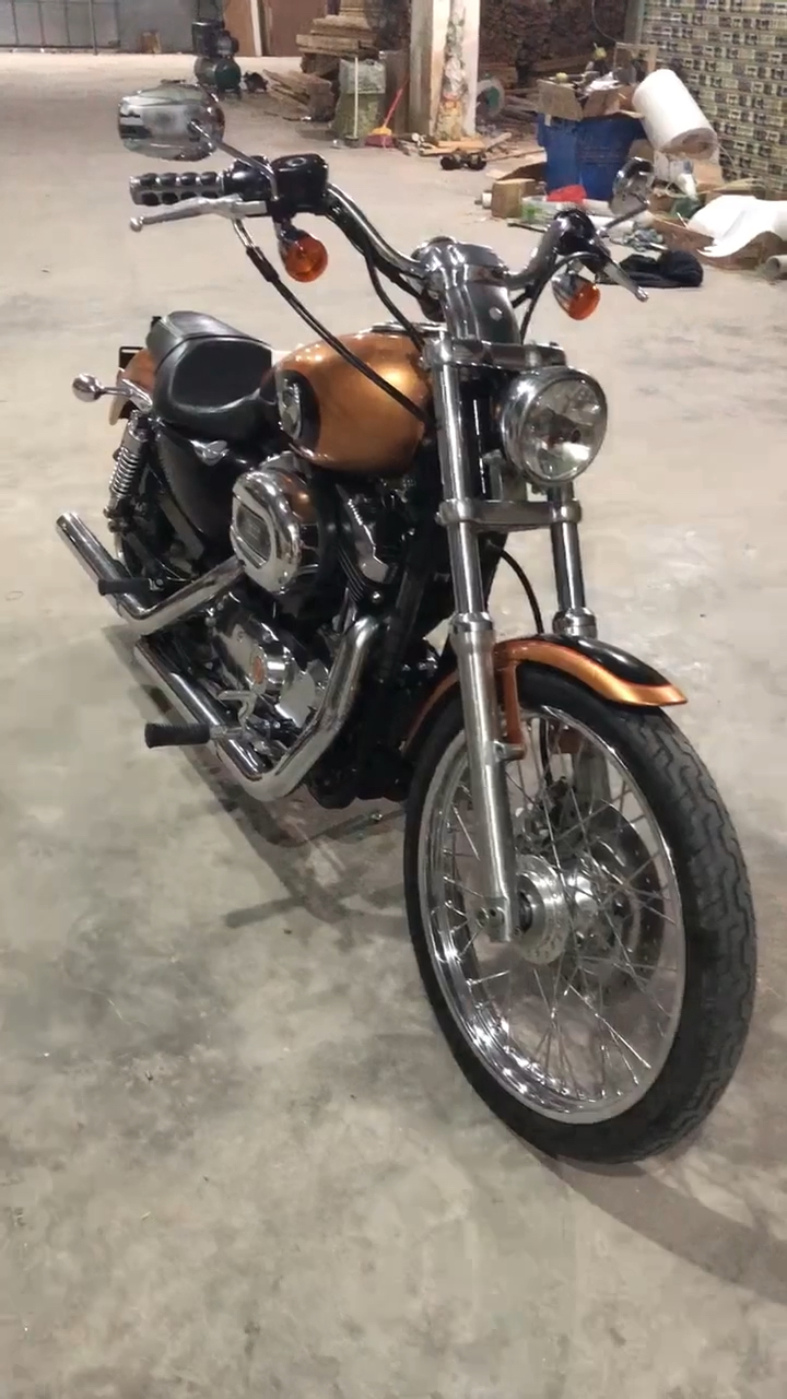 哈雷庆生105岁xl1200c