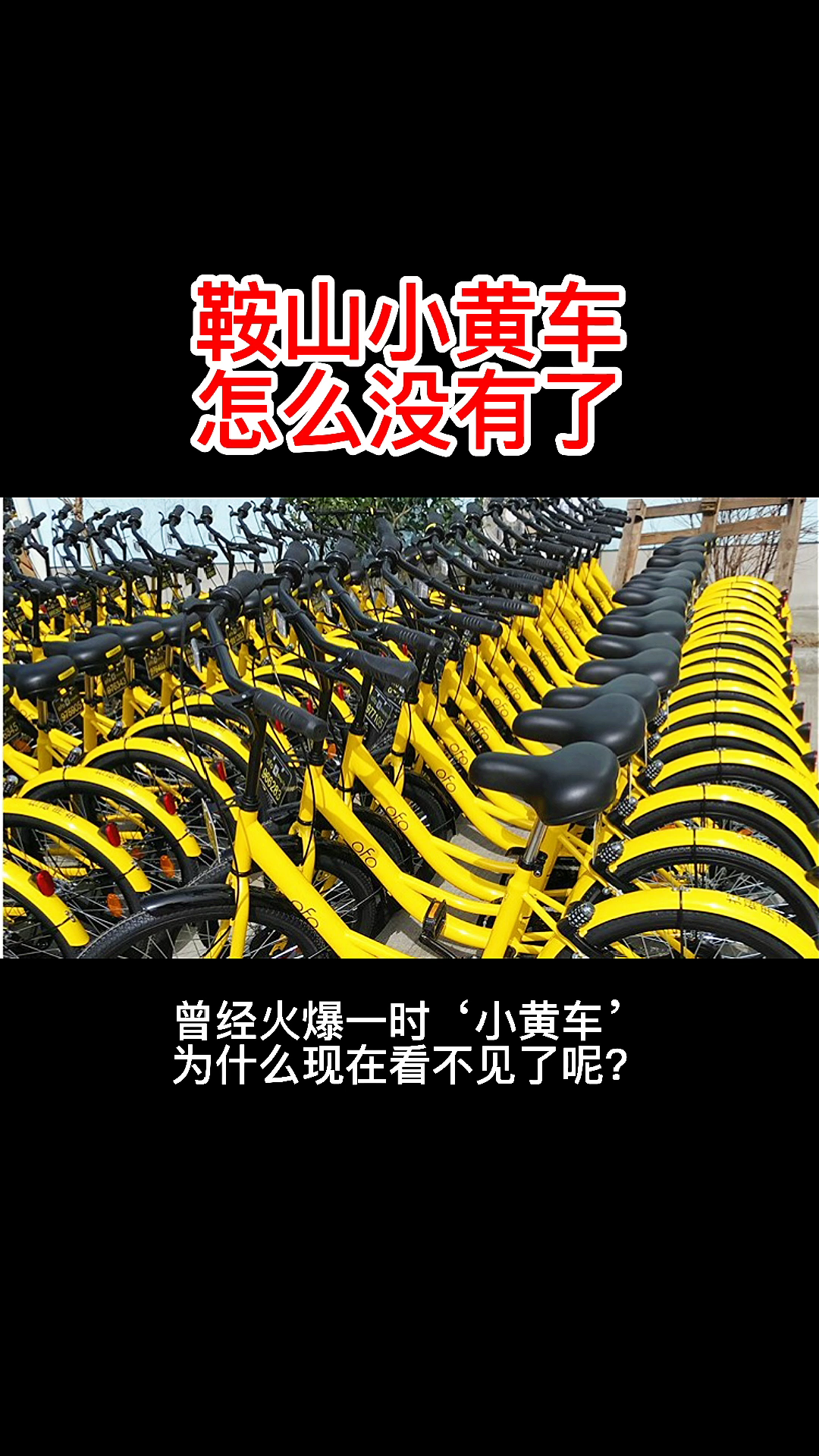 鞍山小黄车怎么没有了,车友圈,来给大家解答