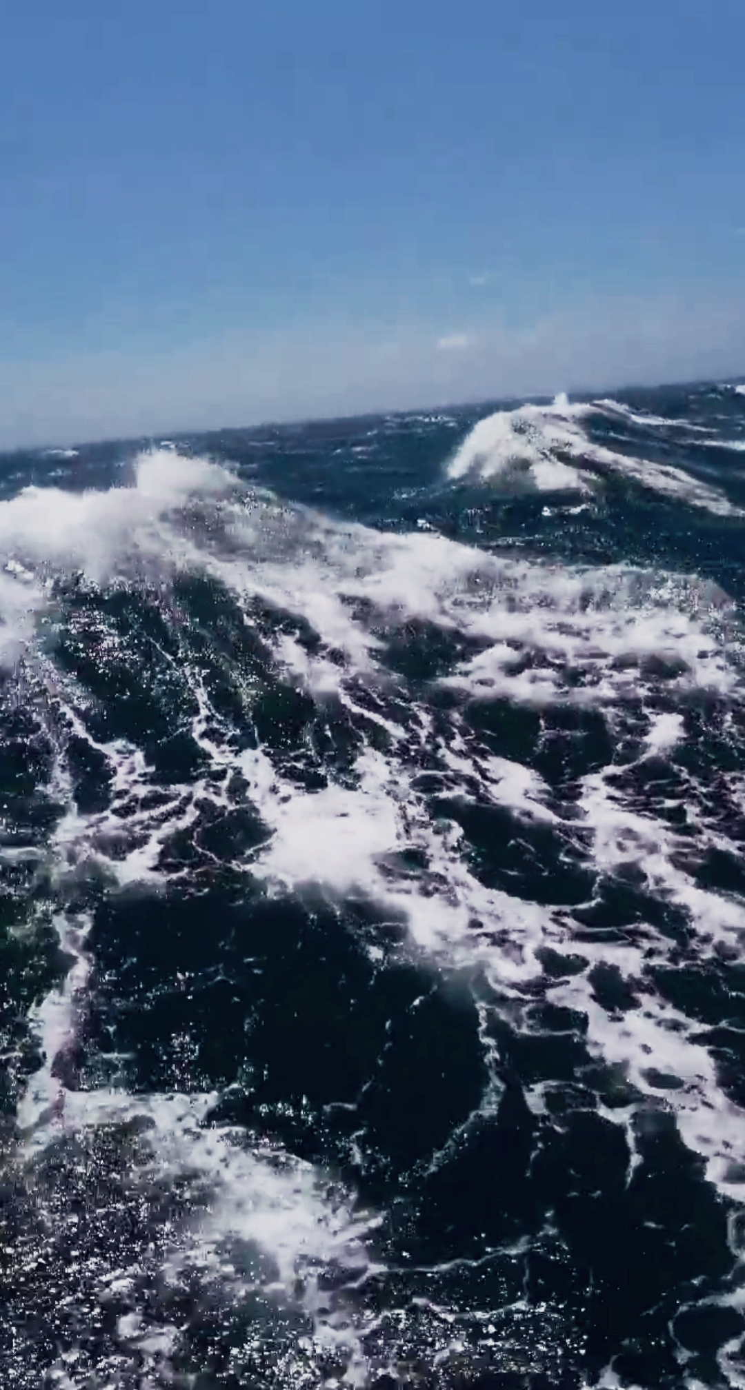 我要上热门#黑风浪高,远洋一路披荆斩棘,向着梦想前进