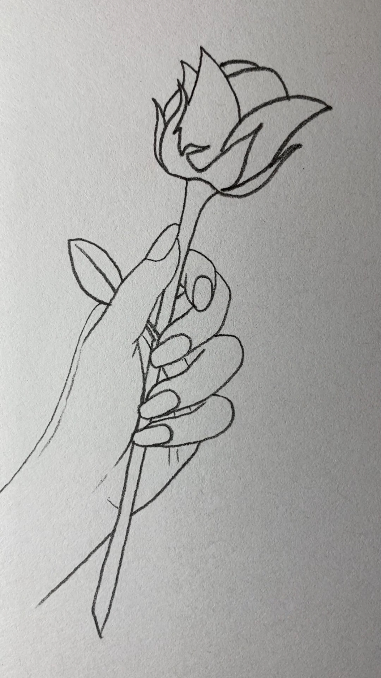 画拿着玫瑰花的手