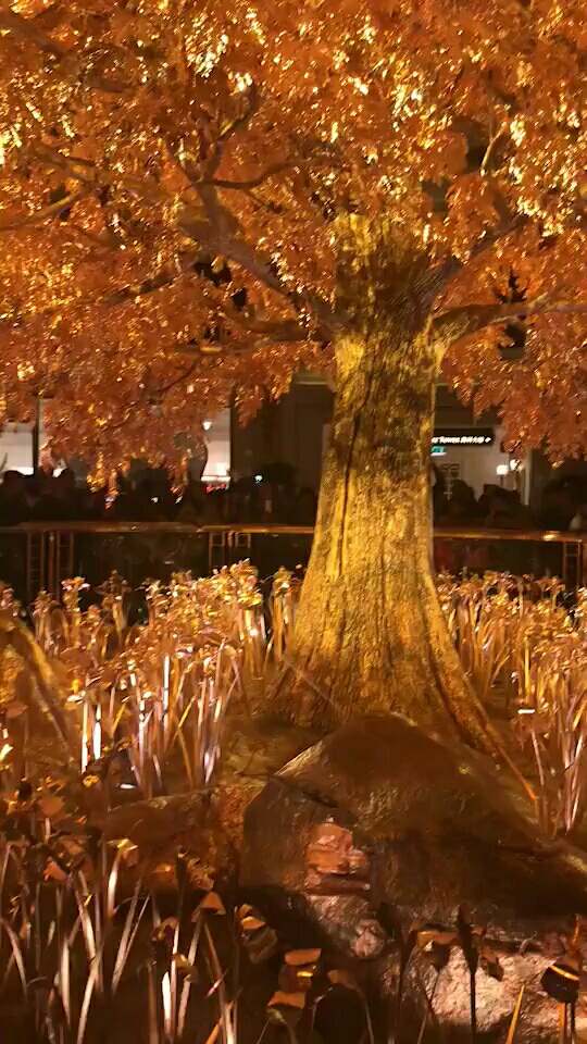 澳门永利纯金发财树价值20亿!