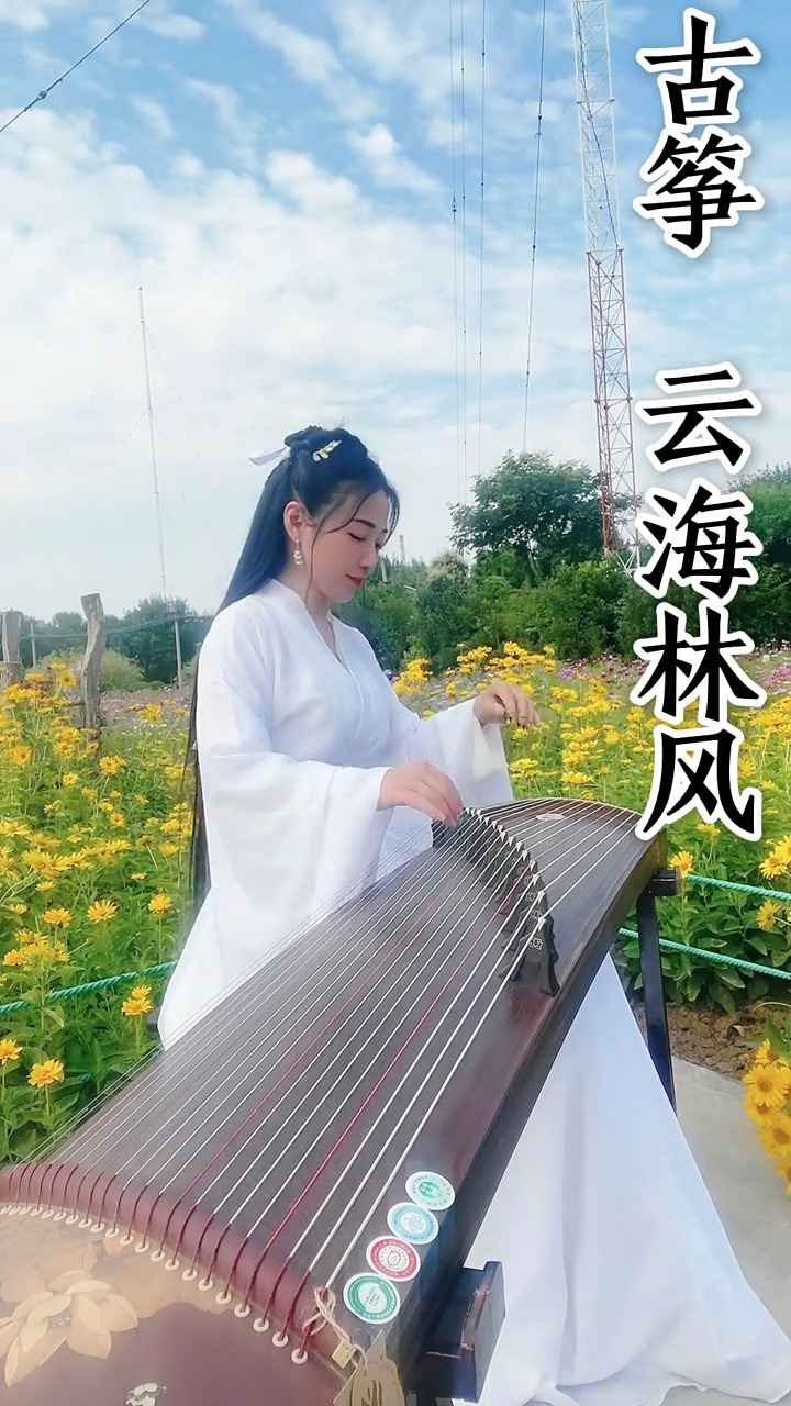 迷惑行为大赏#小仙女古筝弹奏《云海林风》,曲调舒缓,韵律和谐,一种