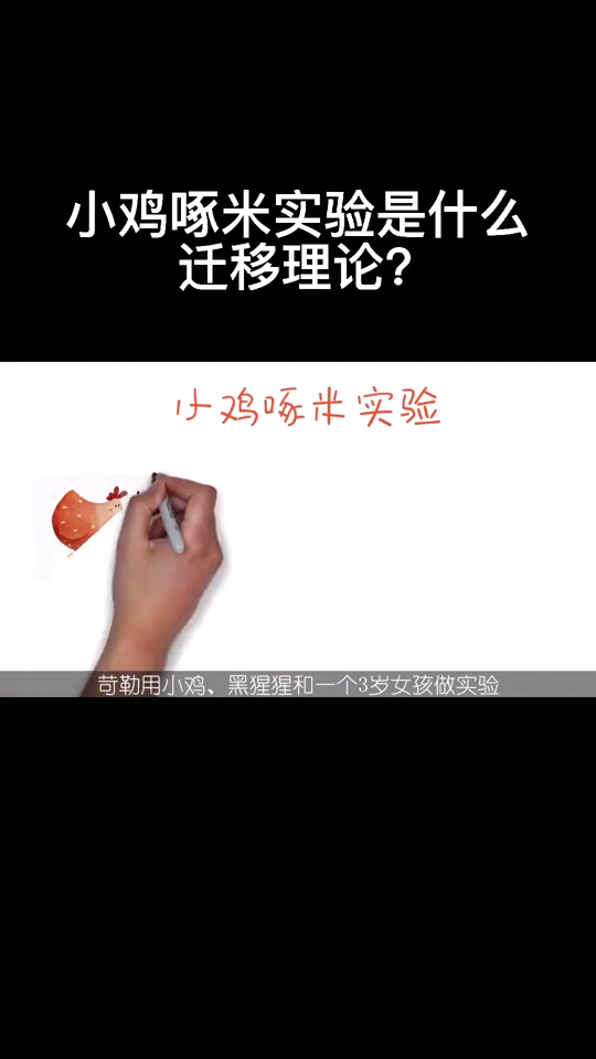 小鸡啄米实验是什么迁移理论