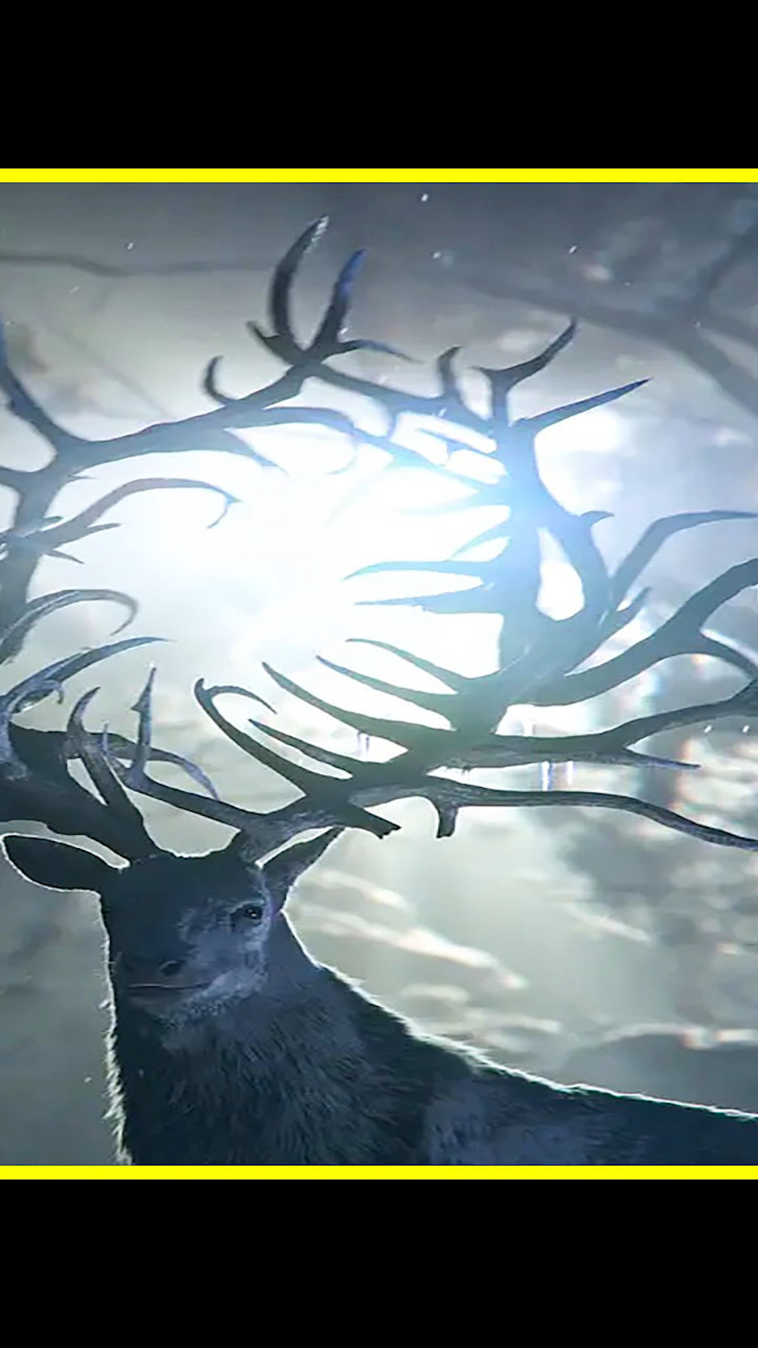 好看电影#《太阳召唤》暗元素魔法的天敌出现,太阳召唤者现世!