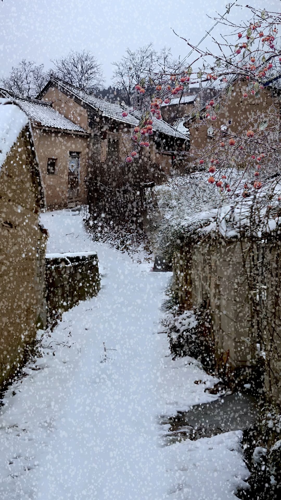 家乡的雪景