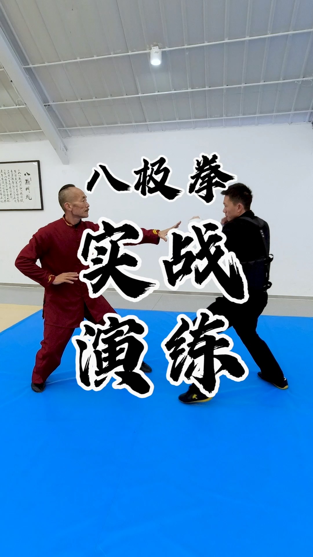 中华武术#八极拳招牌动作展示