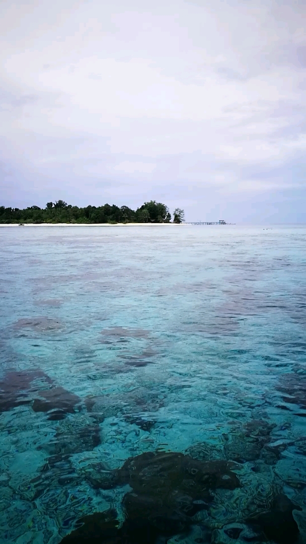 清澈透底的海水,休息一会就去浮潜
