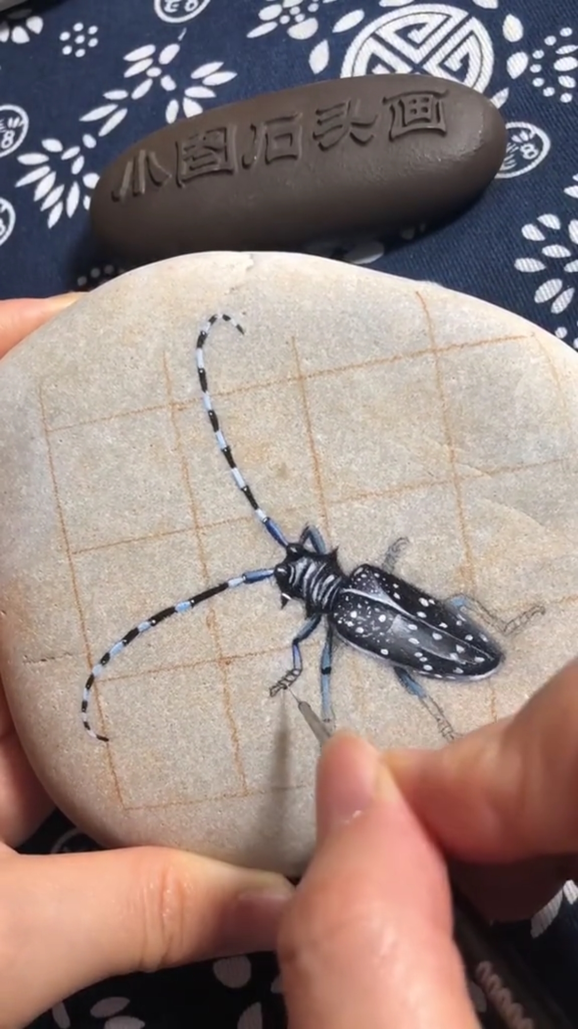 从石头画中拿出一只真的天牛