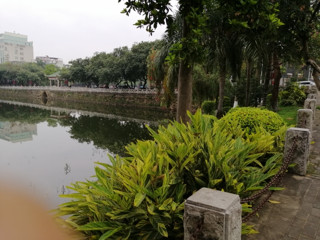 河源鳄鱼湖景色真美!