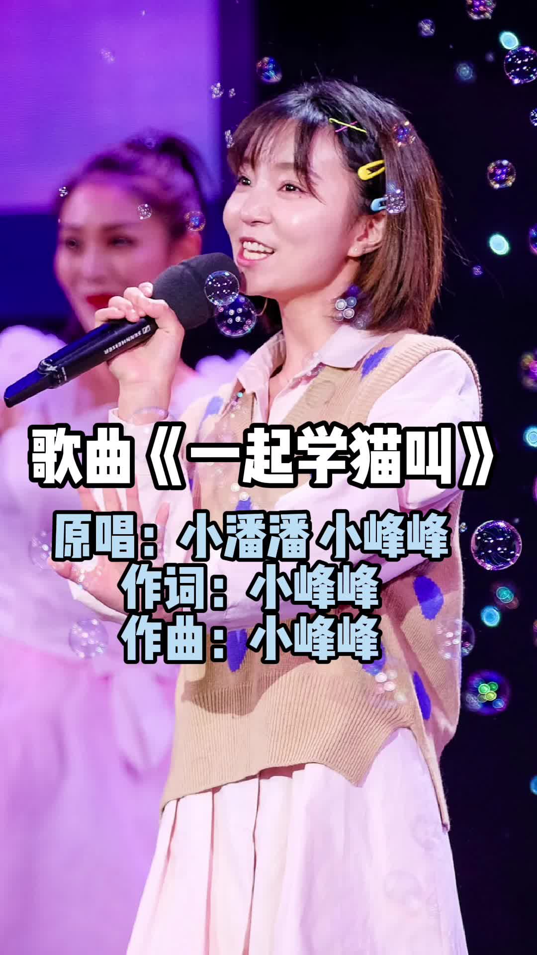 歌曲一起学猫叫让我们一起来欣赏吧