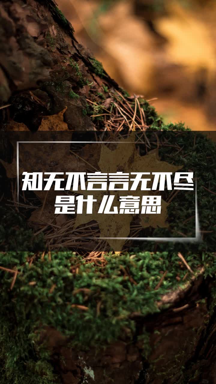 知无不言言无不尽是什么意思