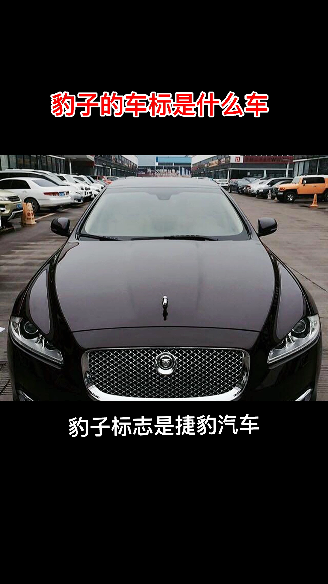 豹子的車標是什麼車,車友圈來給大家分享