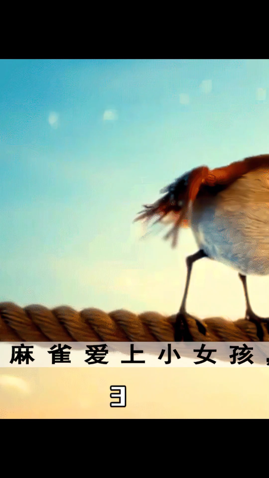 麻雀爱上小女孩,陪伴守护了她一生,结局引人深思