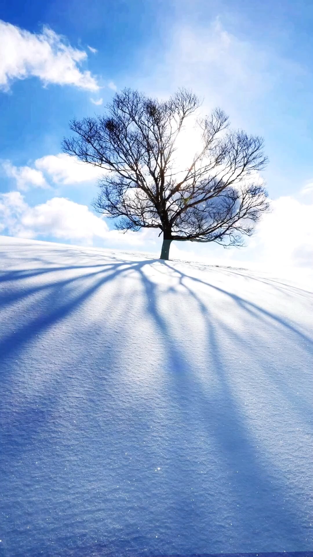 纯洁 单纯 干净