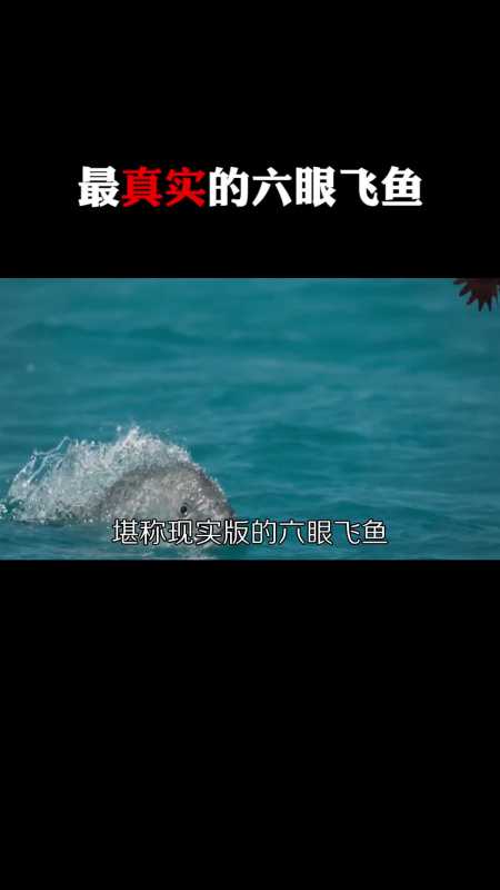 回覆 0 江多sv63f:飛魚適合吃赤身[嘻嘻] 回覆 119天前 快活人生tivw