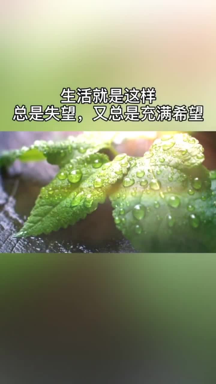 不管今天有多糟糕都要始終相信明天會更好成年人的世界就是一邊崩潰