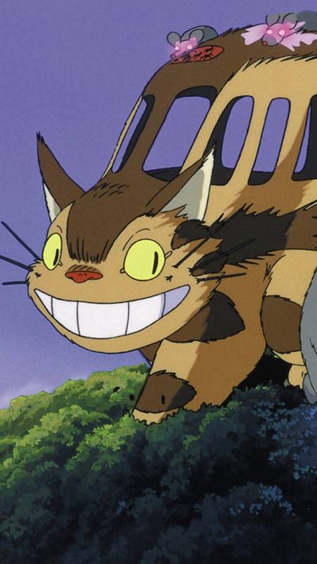 龙猫巴士:带你去任何你想去的地方!