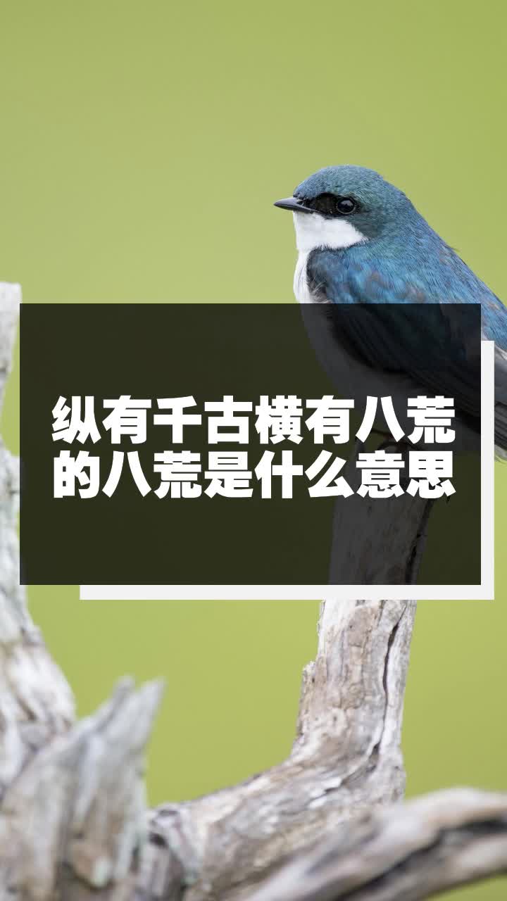 纵有千古横有八荒的八荒是什么意思