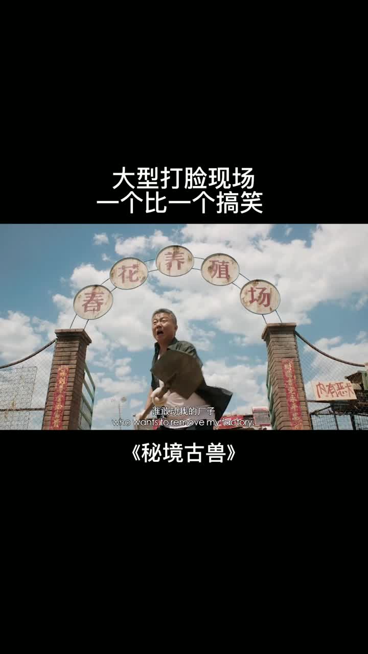 大型打脸现场,一个比一个搞笑