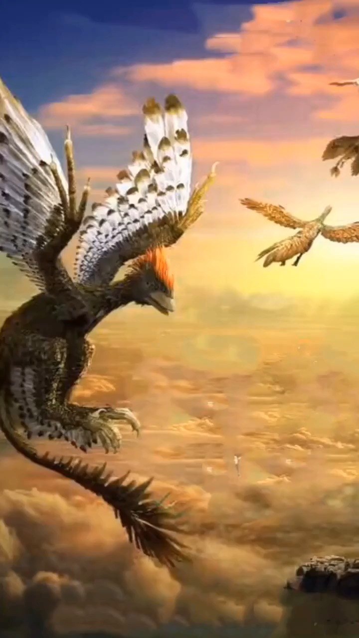 "辽宁古盗鸟"作为古生物研究史上一件非常尴尬的事件,不仅在专业的古