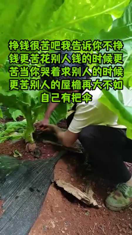 挣钱很苦吧我告诉你不挣钱更苦花别人钱的时候更苦当你哭着求别人的