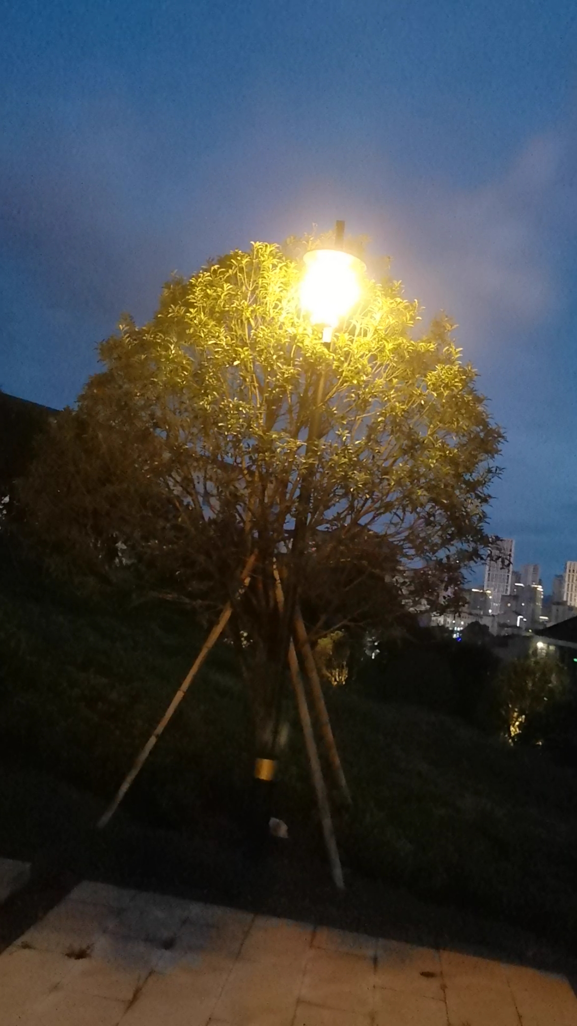 夏天就要这么过#夜景更美