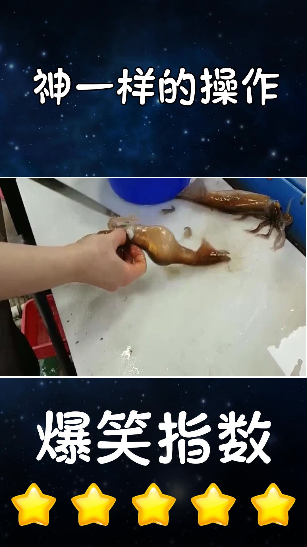 搞笑段子#活鱿鱼最地道的吃法,原滋原味的鲜甜,刀工处理很重要!