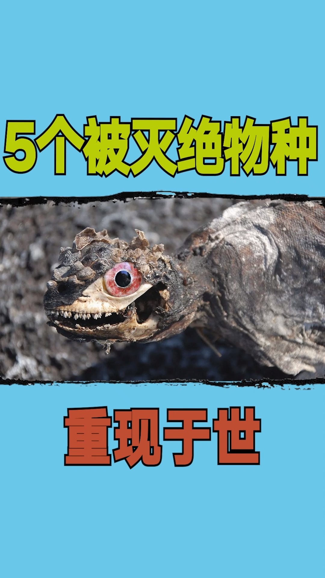 复活灭绝动物#5个被灭绝物种重现于世