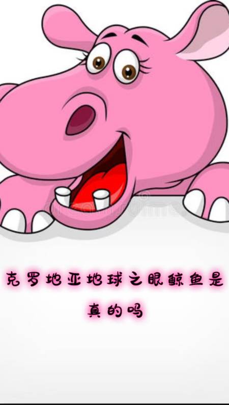 克罗地亚地球之眼鲸鱼是真的吗?
