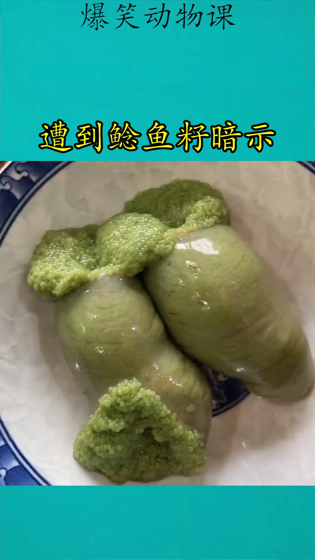 我要上热门#遭到鲶鱼籽暗示