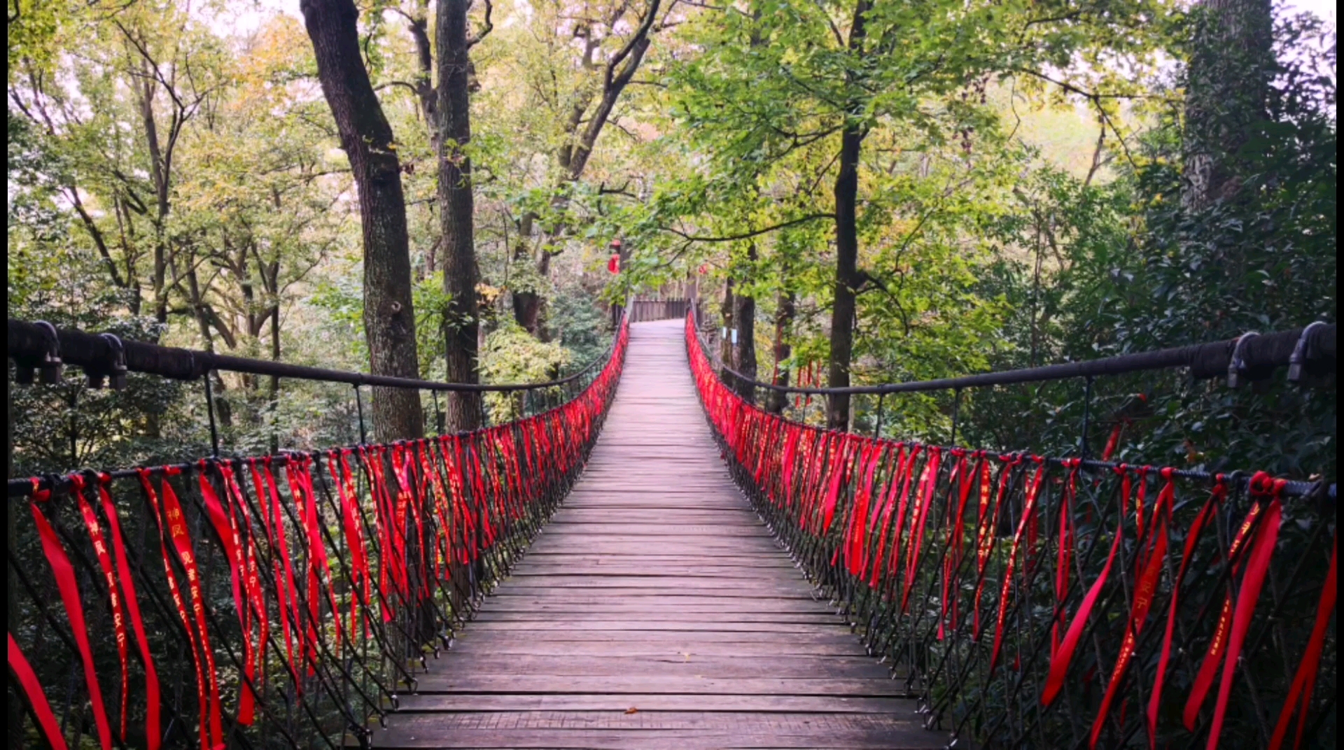 招摇#《招摇》取景地~凤凰古城南华山神凤景区打卡