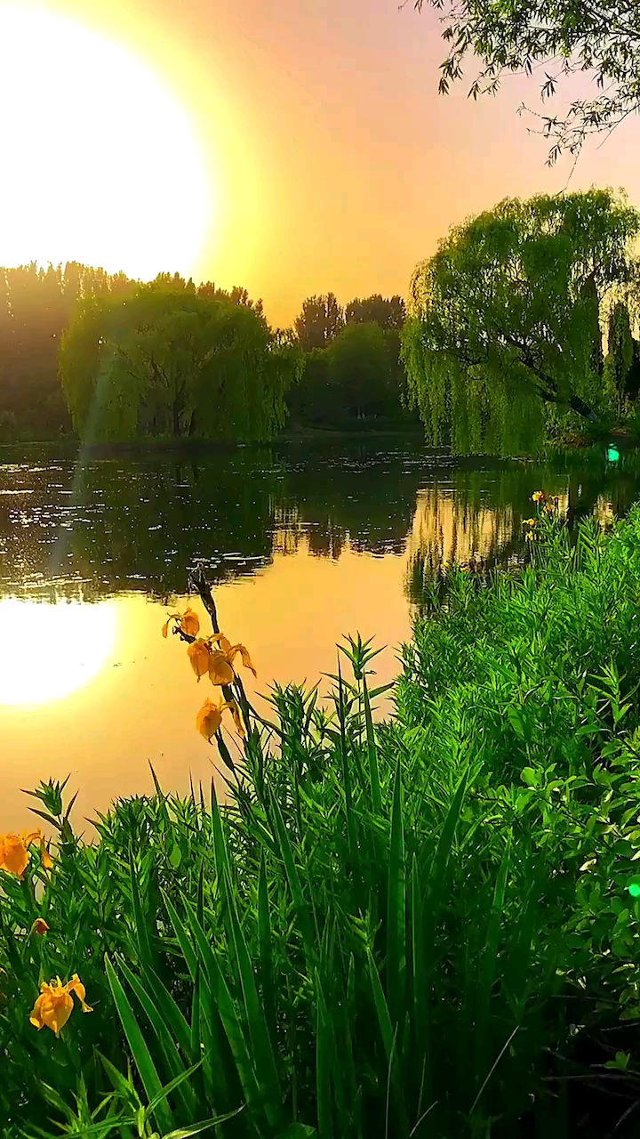 旅游进行时#淡泊心境,静守一份平凡