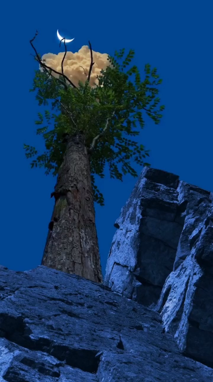 你看到了什么,绝处逢生,神奇的大自然,唯美意境,视觉艺术,敬畏自然