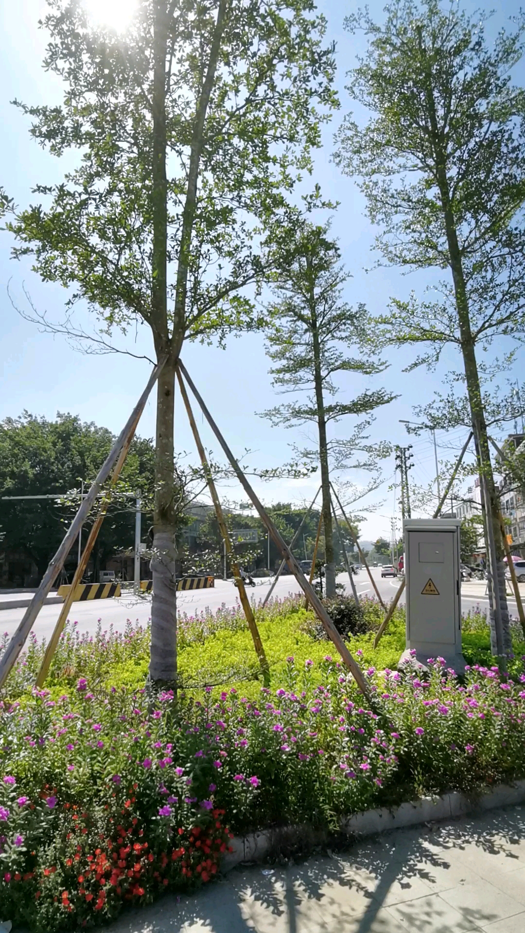 夏天就要这么过#洪阳大圆新风貌