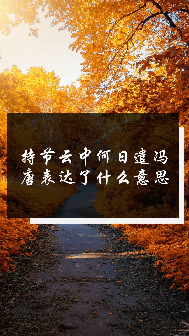 持节云中何日遣冯唐表达了什么意思