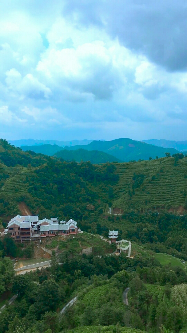 凌云茶山金字塔图片