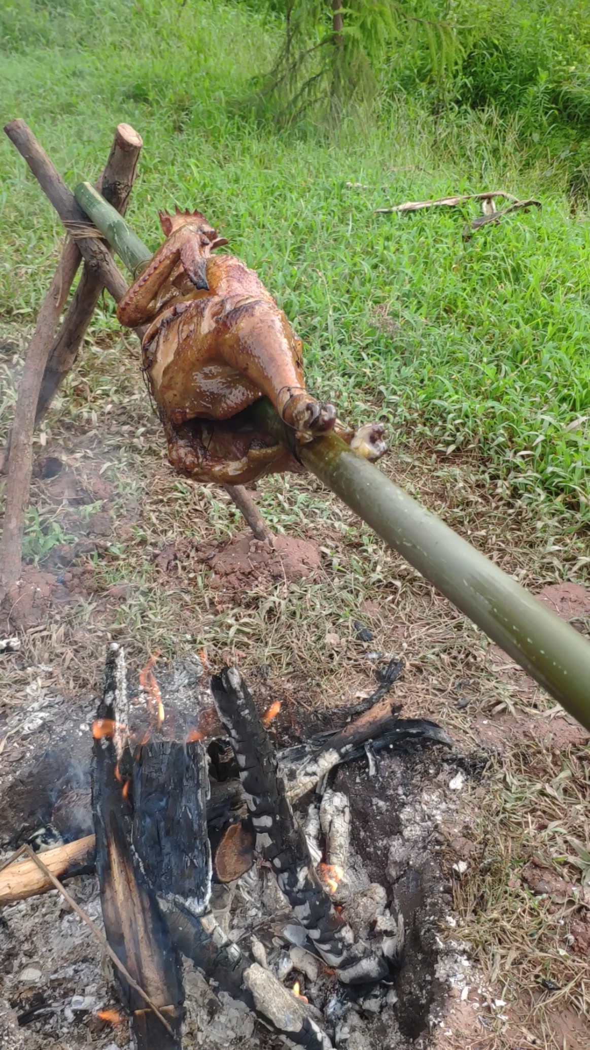 乡村生活#最好的烤鸡,真棒.