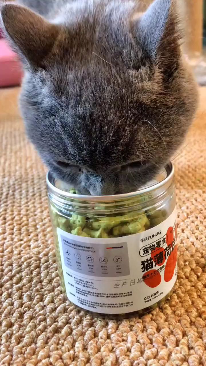 猫薄荷饼干图片