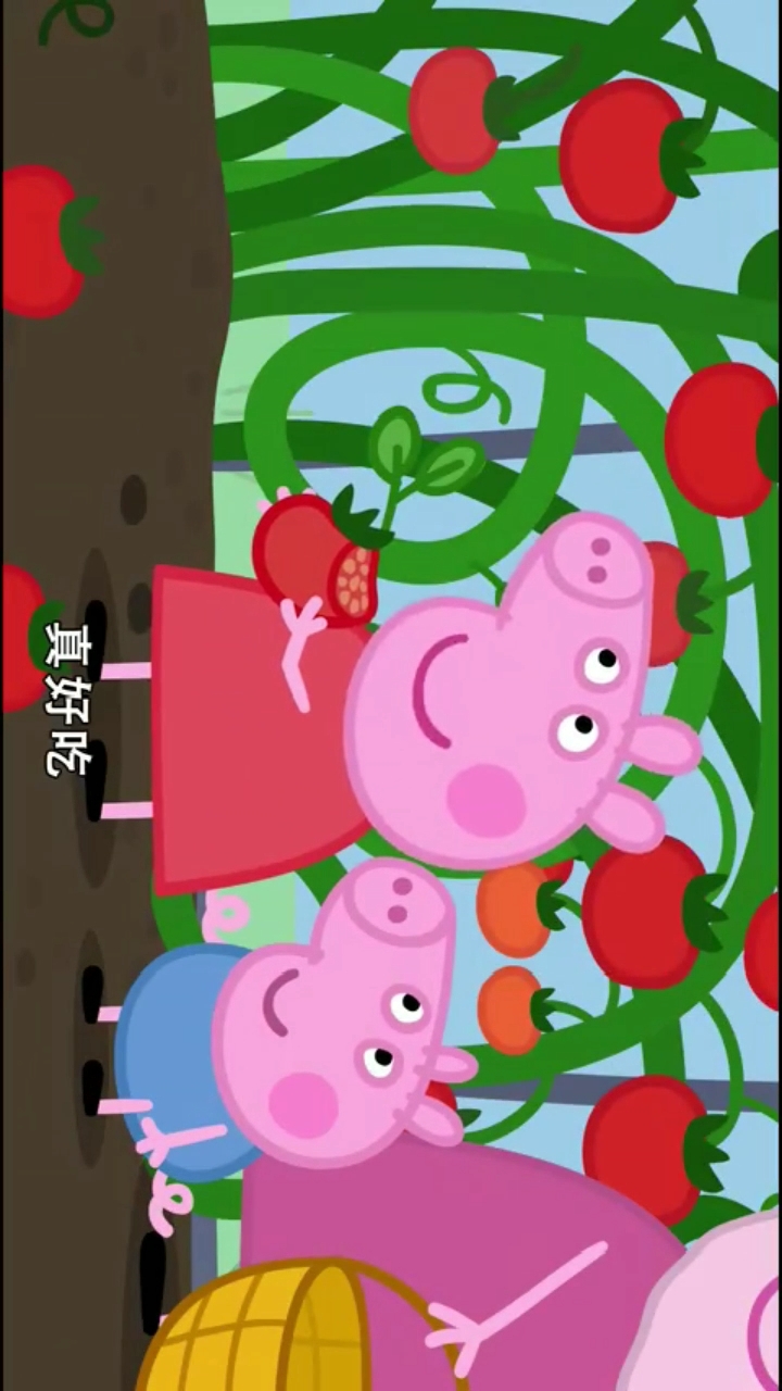 小猪佩奇第七季#狗爷爷的番茄真好吃