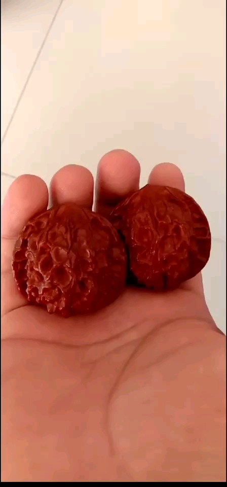 共享世界# 牛津红 核桃很红