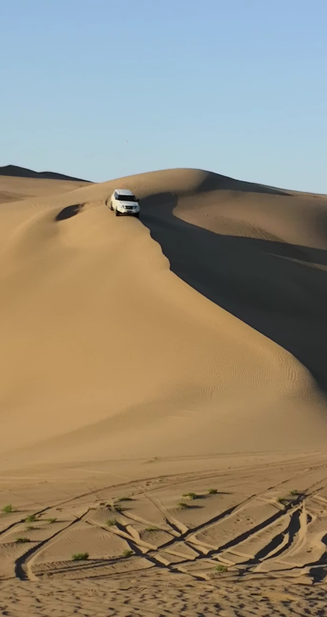 自驾越野#途乐y62霸气登场