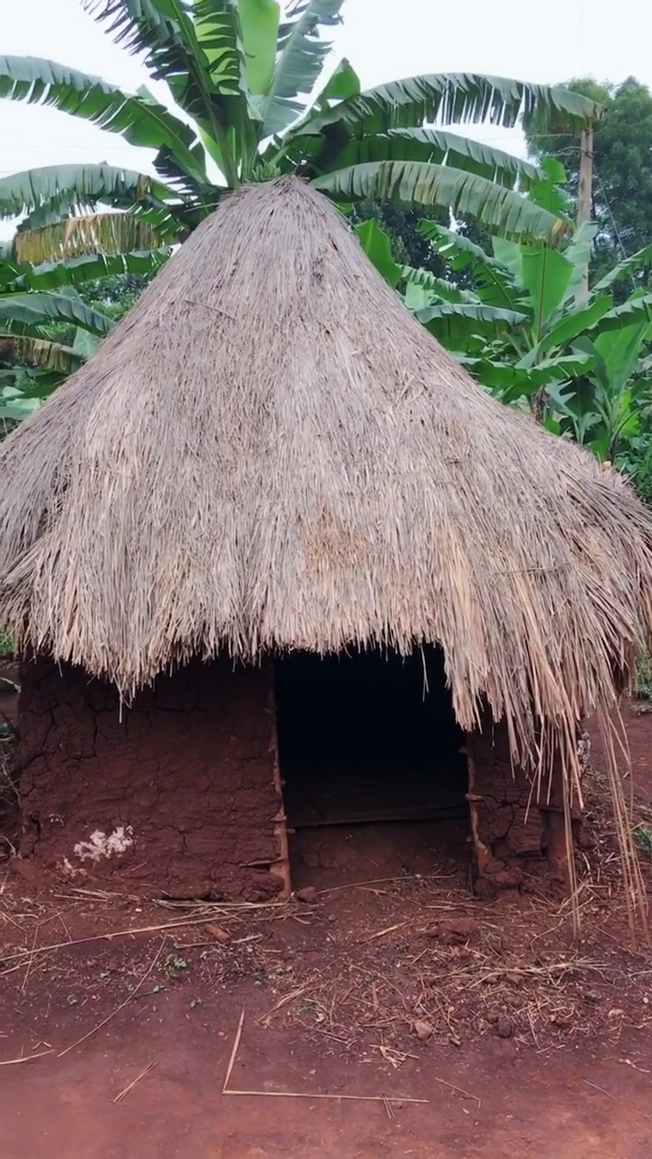 非洲黑人居住的房子!