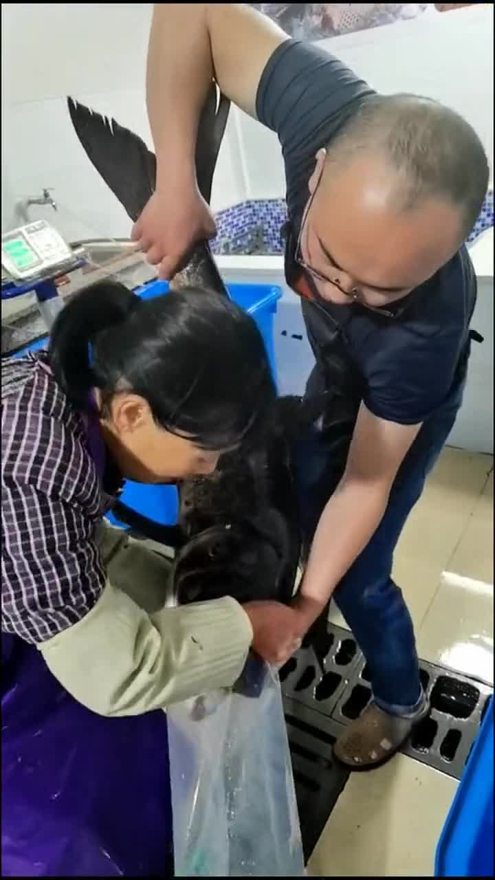 巨物装袋密封充氧,两个人抱着都费劲,这得有多少斤!