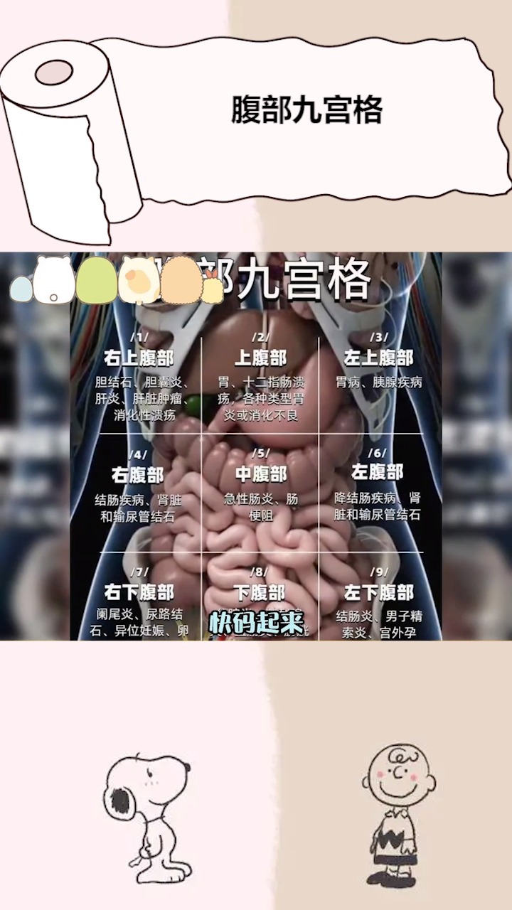 肚子痛到底是哪里痛?腹部九宫格