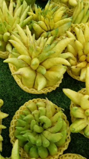 西双版纳的水果佛手!