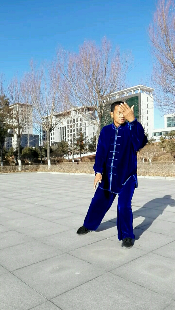 吴式83式太极拳