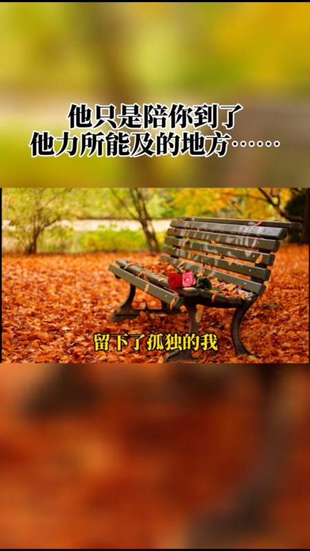 当陪你的那个人要下车时,即使不舍也要心存感激,笑着挥手道别-全民小