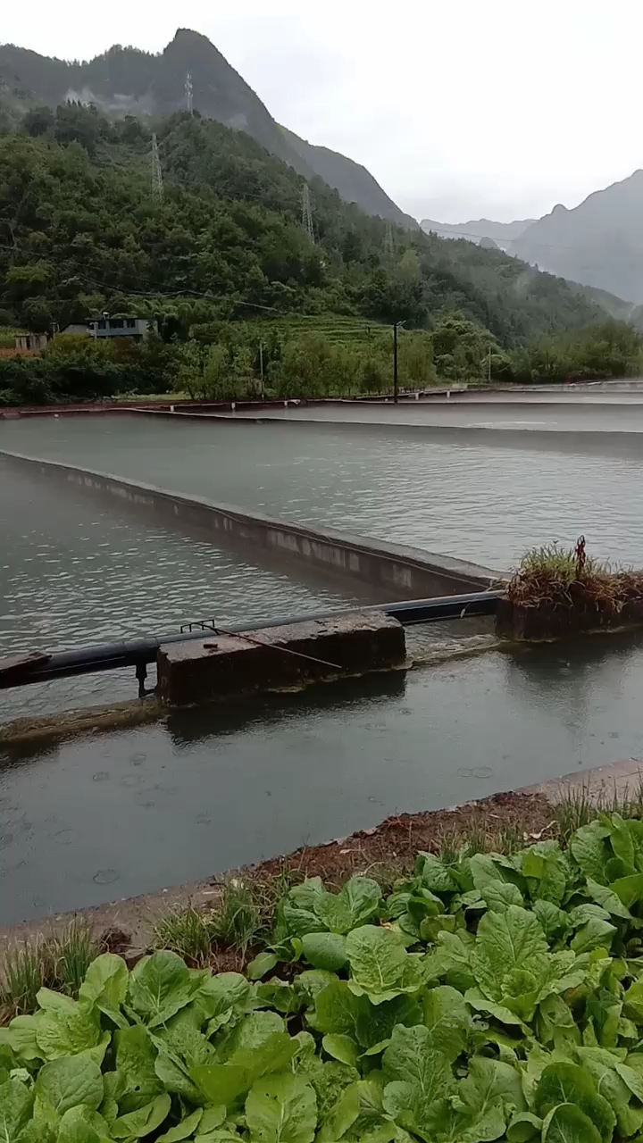 冷水魚養殖場!